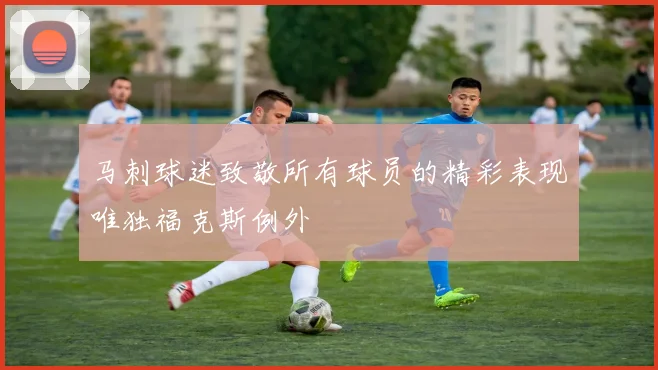 马刺球迷致敬所有球员的精彩表现唯独福克斯例外